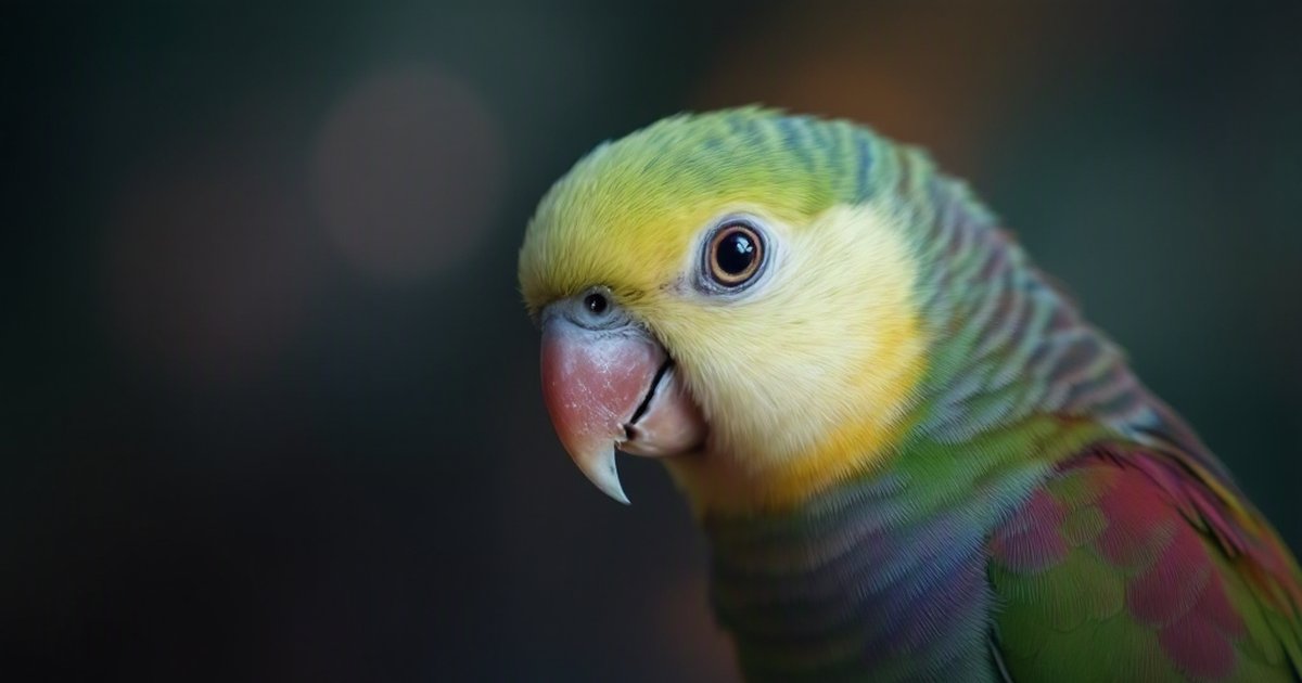 Colorful pet parrot perched on a branch, representing parrot health and new PCR virus detection diagnostics